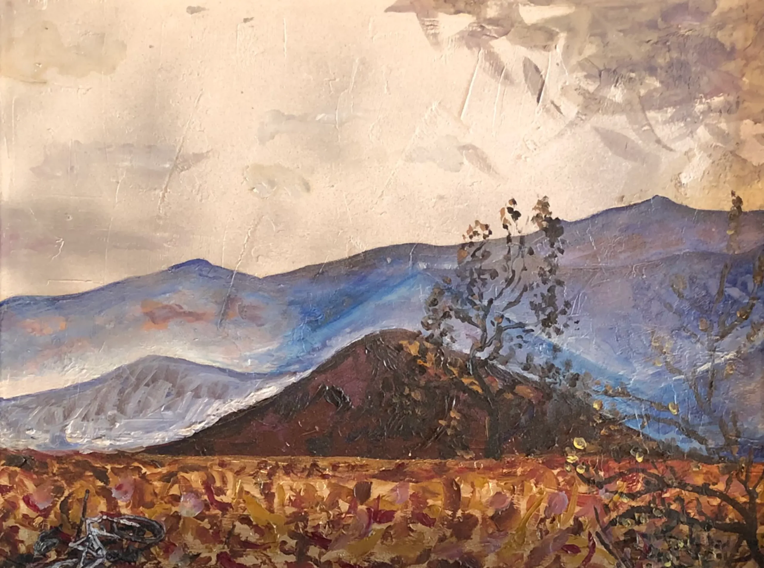"La valle della luce tranquilla" - Alessandra Barisone Pittrice a Torino